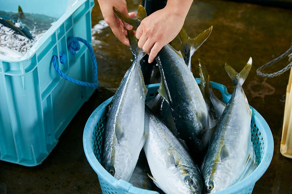 氷見の漁業をもっと盛り上げるために松本魚問屋ができること